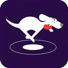 دانلود رایگان DOG VPN + آموزش اتصال خودکار