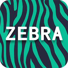 دریافت Zebra Proxy VPN برای پی سی + رایگان