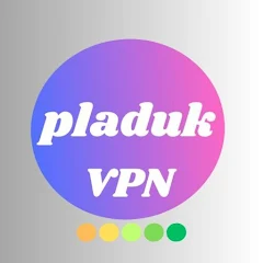 فیلتر‌ شکن قوی PLADUK VPN برای کامپیوتر