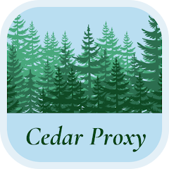 نصب vpn پرسرعت و پایدار Cedar VPN بدون ترافیک