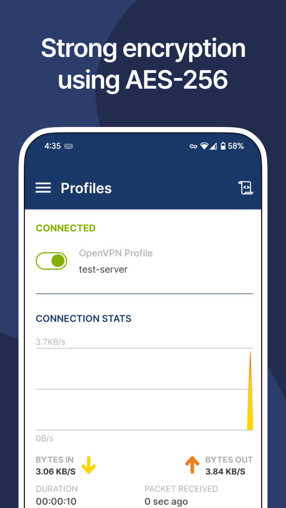 OpenVPN