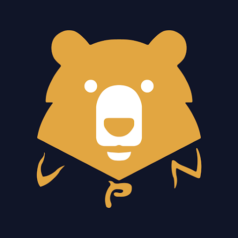 روش اتصال به فیلترشکن BearsVPN برای اندروید (بررسی ۳ قابلیت عالی)